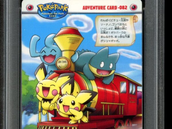 PSA 8 Poke Park Pichu Bros / Railway - Adventure Card