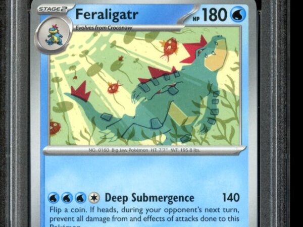 PSA 10 Feraligatr 213 - Illustration Contest Promo